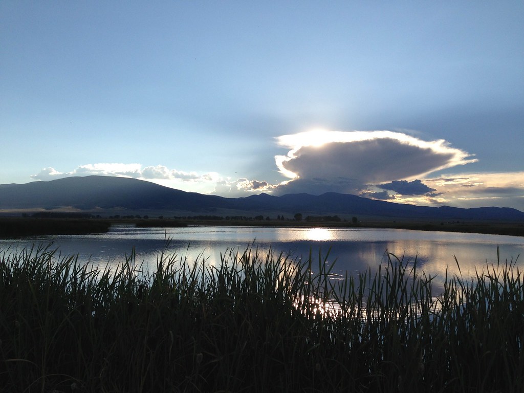 Monte Vista National Wildlife Refuge Credit Seth Willey / … Flickr