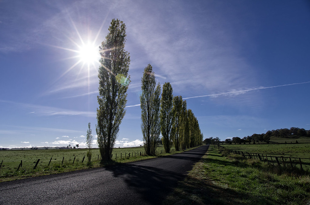 Old Ben Lomond Road It's been a long day. Alarm at 0430, d… Flickr