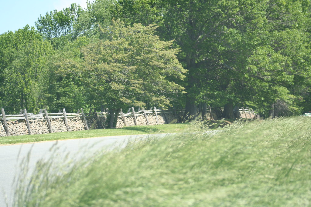 Llangollen Farm roadside fencing on Trappe Road Upperville
