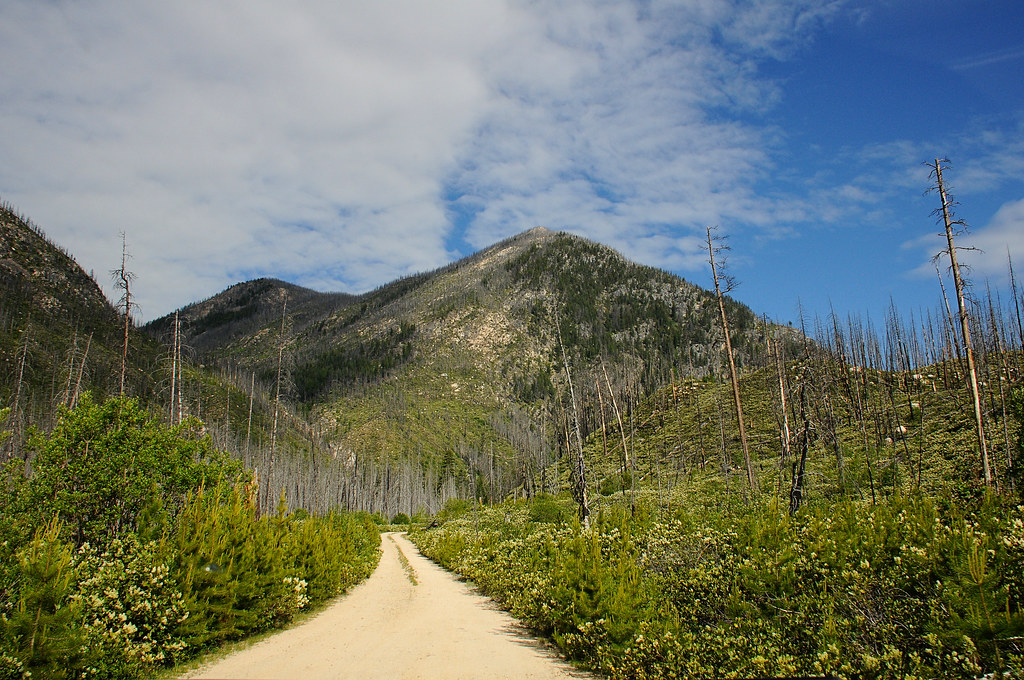 Black LakeLake Creek Trail Winthrop Washington Janzster's View
