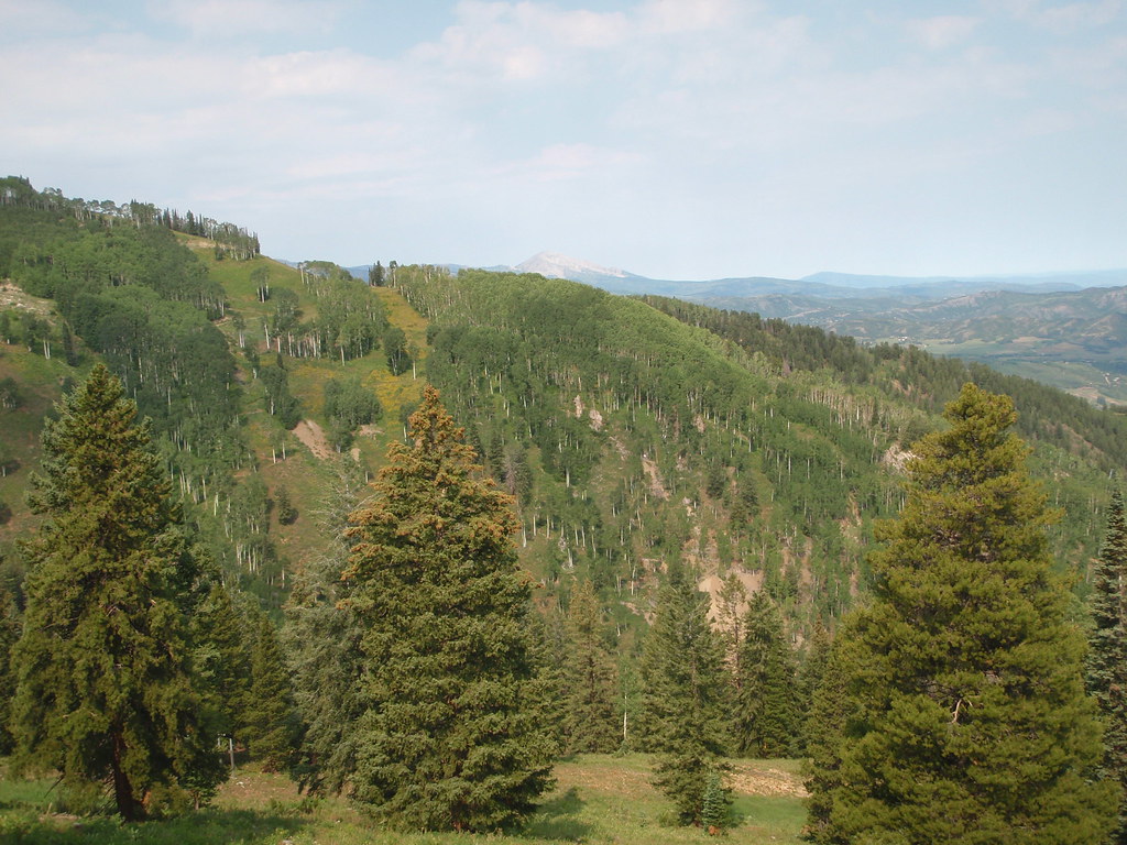 Climbing the Ute Trail at Aspen Took the Ute Trail from th… Flickr