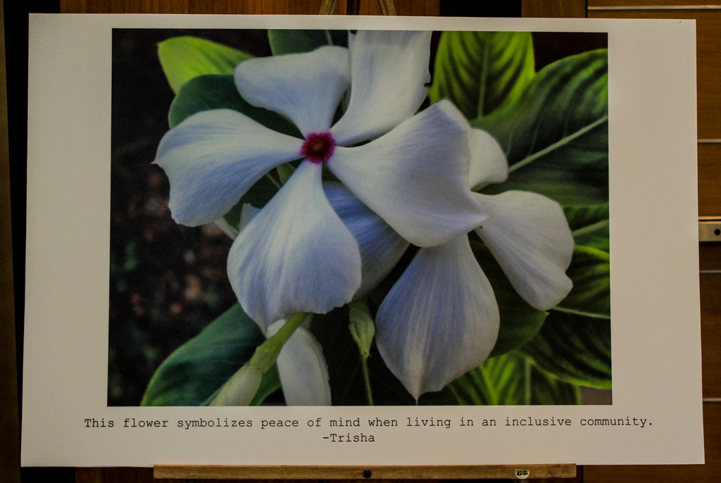 Trisha 04 This flower symbolizes peace of mind when living… Flickr