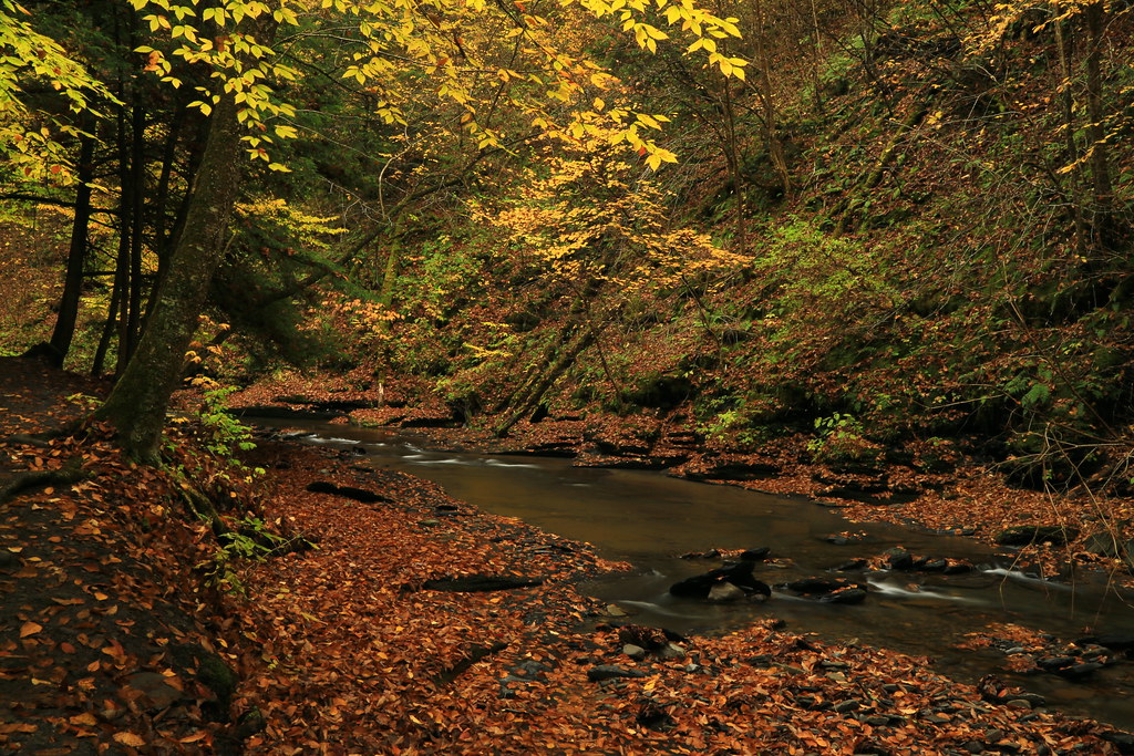 NY13C2213 Fillmore Glen State Park, Moravia, New York Matthew