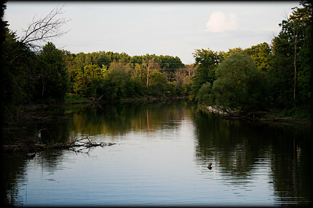 Elevation of Chesaning Township, MI, USA Topographic Map Altitude Map