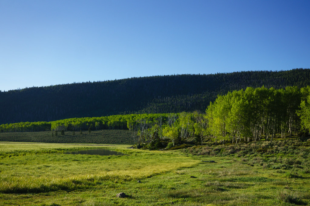 Fishlake National Forest in Utah. Fish Lake is the larges… Flickr