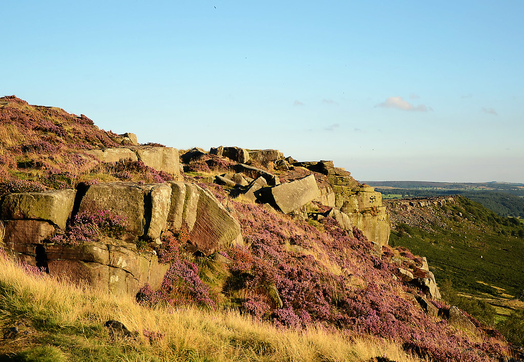 Heather in the Hills Curbar Edge Derbyshire Michaela Stones Flickr