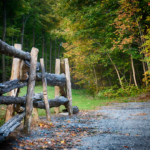 down a country road sand road maple farm, moose creek, ont… Flickr
