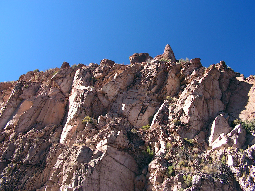 AZ Photo Safari GlobeMiami Feb19 (8)f.JPG a photo on Flickriver