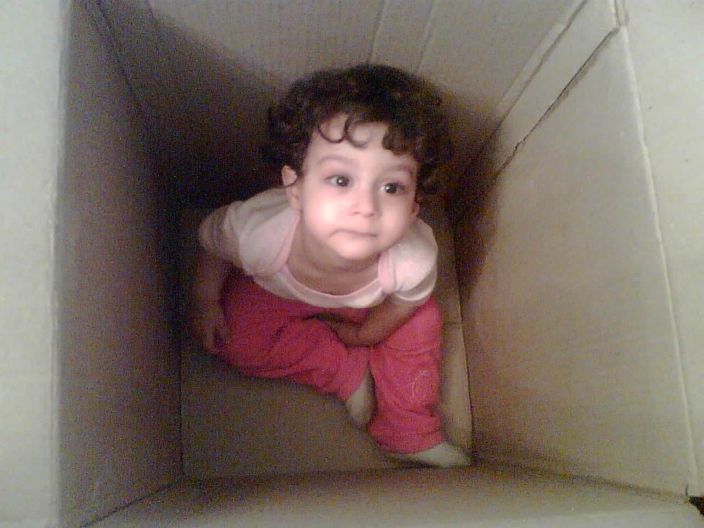 كژال Parham Baghestani Flickr