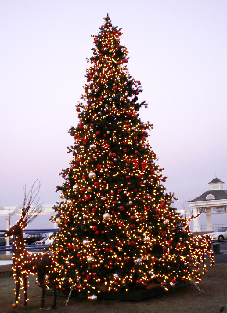 Jersey Shore Christmas a photo on Flickriver