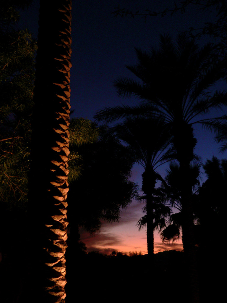 artificial vs. natural light After taking a zillion photos… Flickr