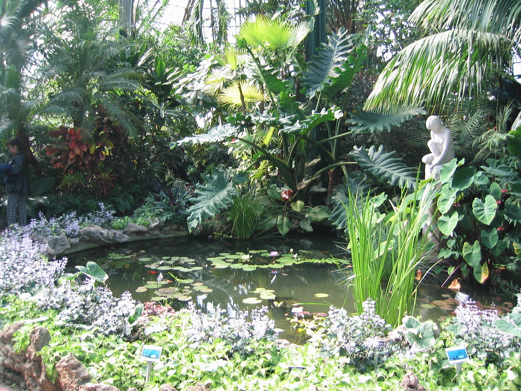 Lincoln Park Conservatory Inside the Lincoln Park Conserva… Flickr