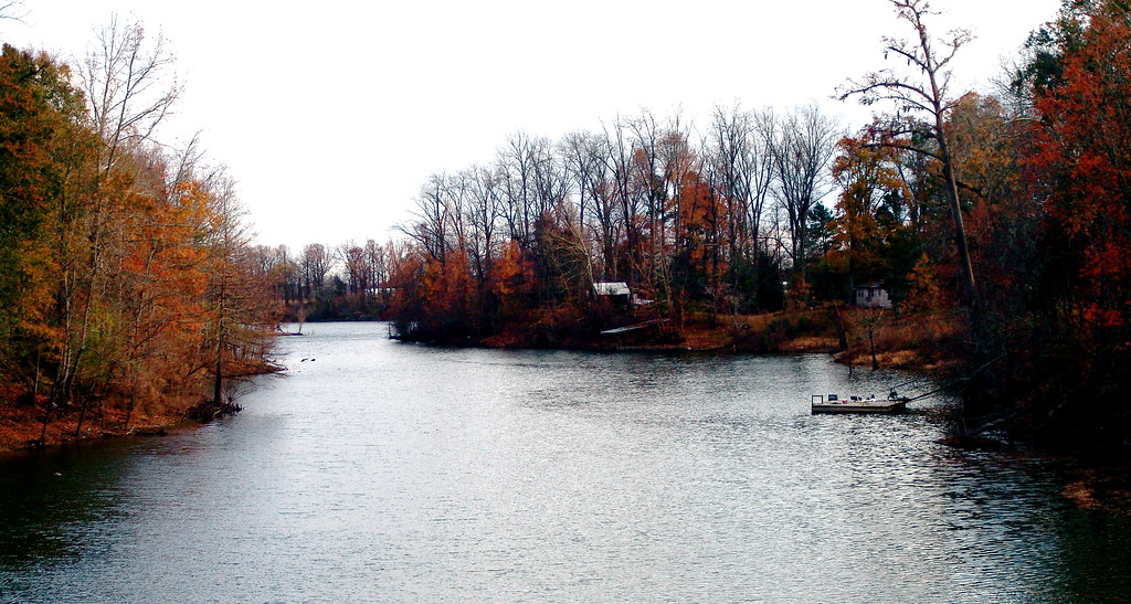 Workinger Bayou, Monterey, Louisiana (USA) We grew up swim… Flickr