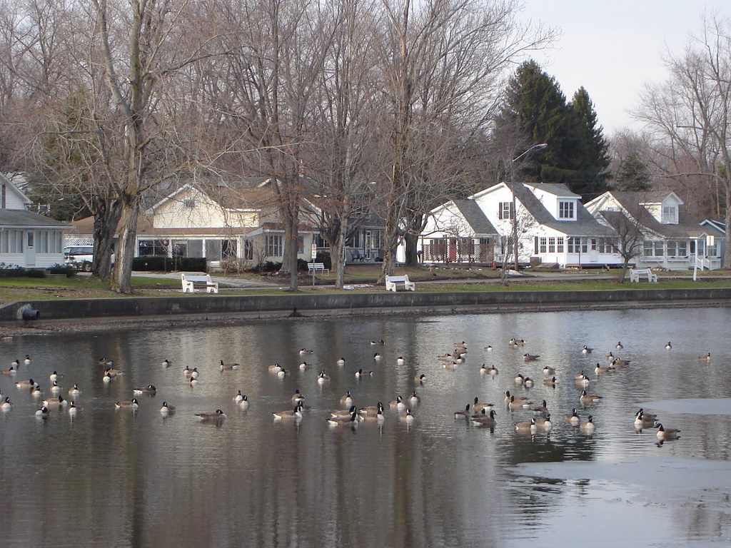 Lake Edinboro Cottages along Lakeside Drive. Trying out my… Flickr