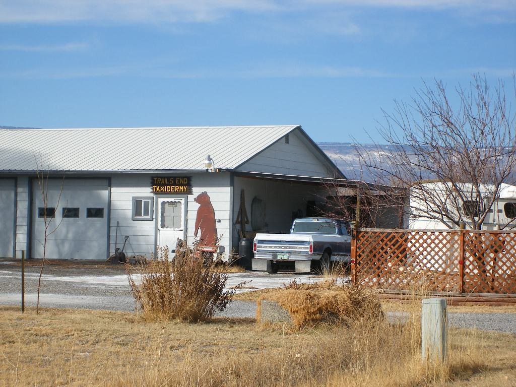 The most interesting thing in Orchard City, CO meganinco Flickr