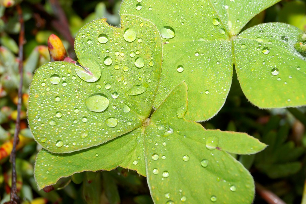 Me Siento Triste Estoy Deprimido Clinica Fernandez Hierro