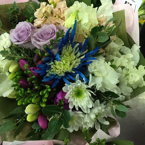 ⬅️order now Share,Like or Com… Flickr