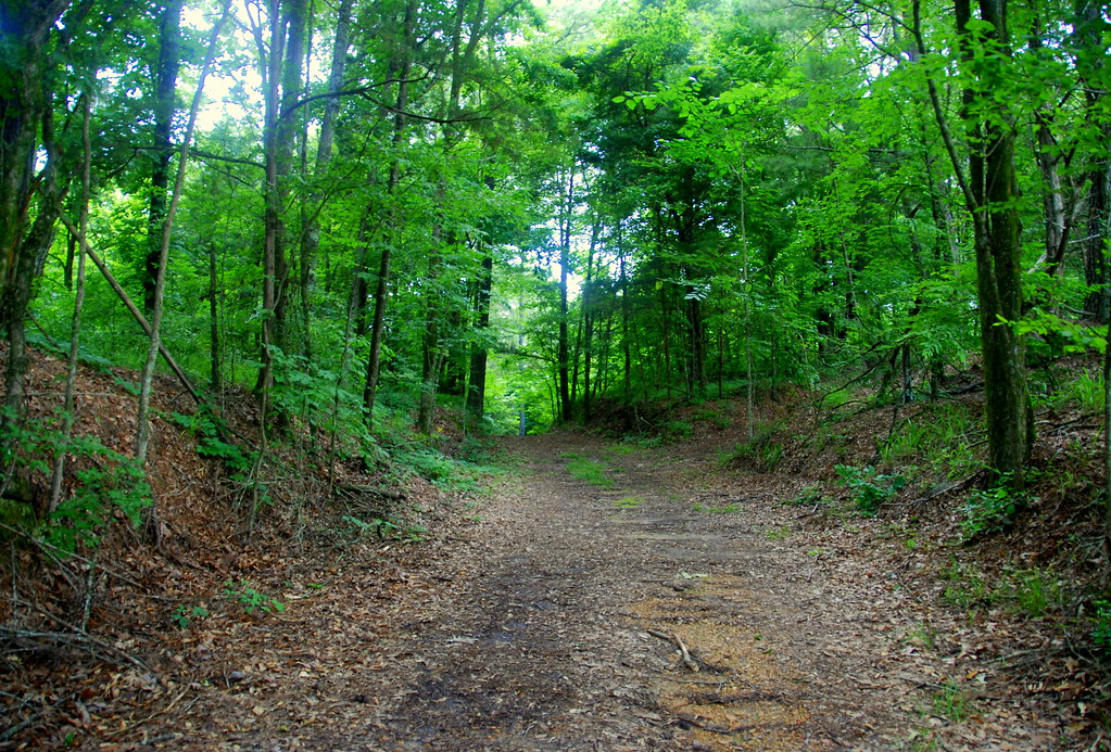 Old Jackson Road passing Champion Hill looking South then … Flickr