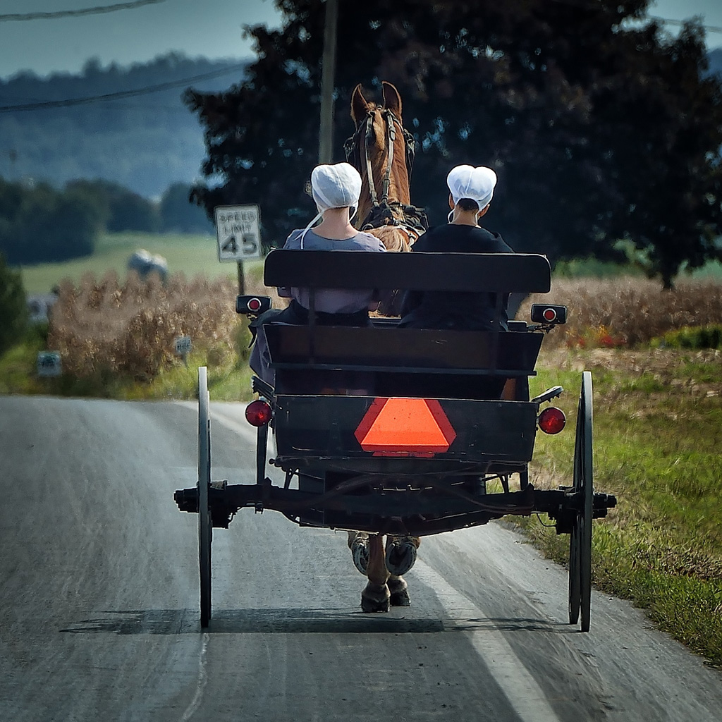 DSC_27421 Amish Penn. David Bowden Flickr