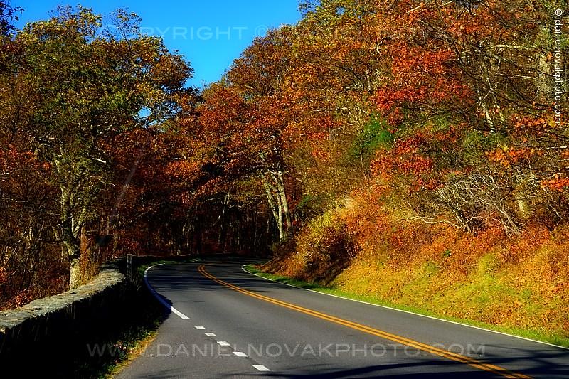 Elevation of Swift Run Gap Entrance Station, Elkton, VA, USA Topographic Map Altitude Map