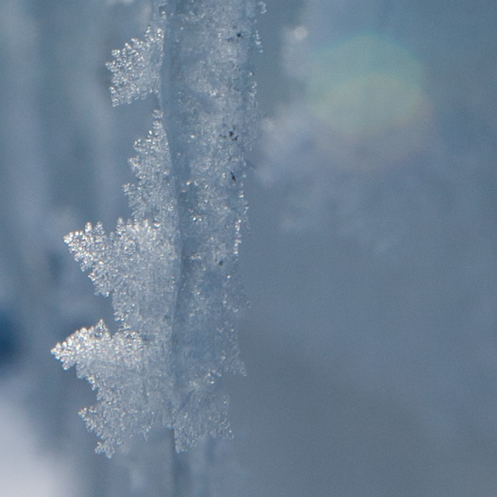 Ice Crystals This is a photo of an icicle on the eave of t… Flickr