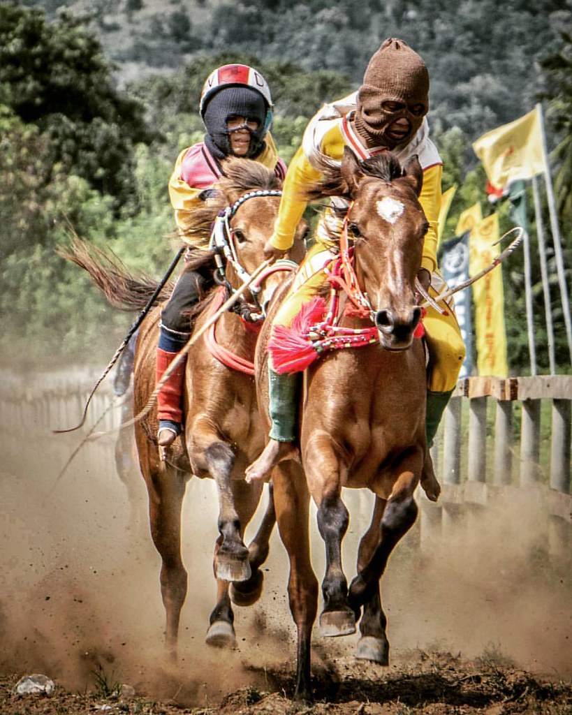 Duel Pacuan Kuda Bima tofifoto VisitBima TravelingBima … Flickr