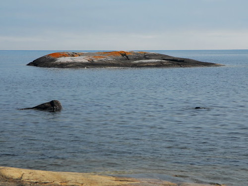 Katherine Cove (7) A small rocky island offshore. I've hea… Flickr