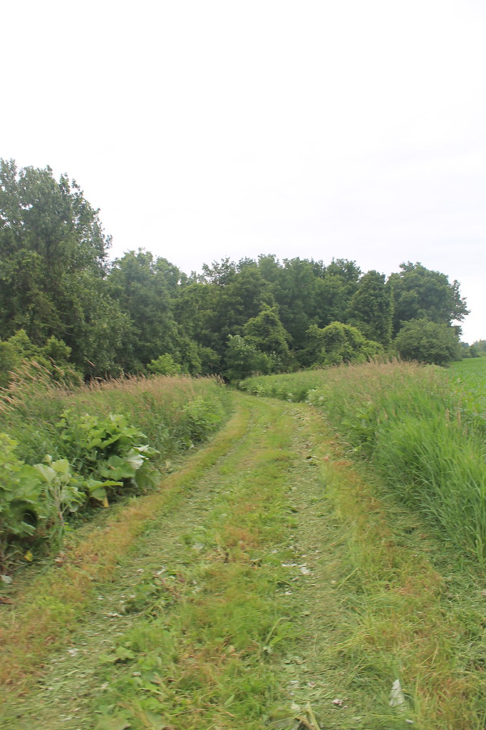 Freshly Mowed Trail Flickr
