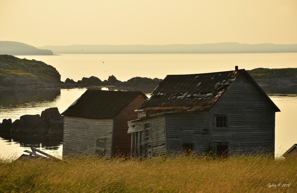 Saltbox at Tickle Cove NFL2 1431 Caora Flickr