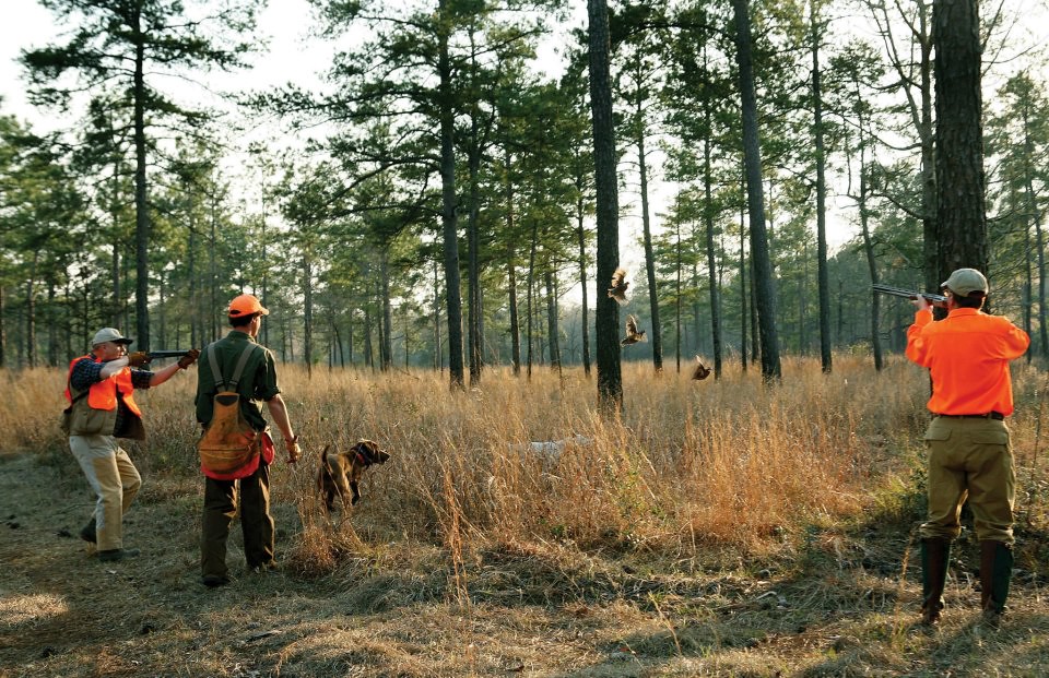 Quail Plantation Albany Antlers and Anglers Worldwide, LLC