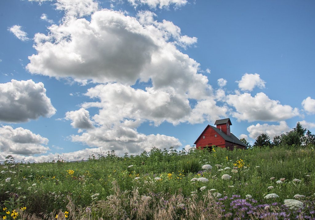 Farm In Geneva at Bertha Donohue blog