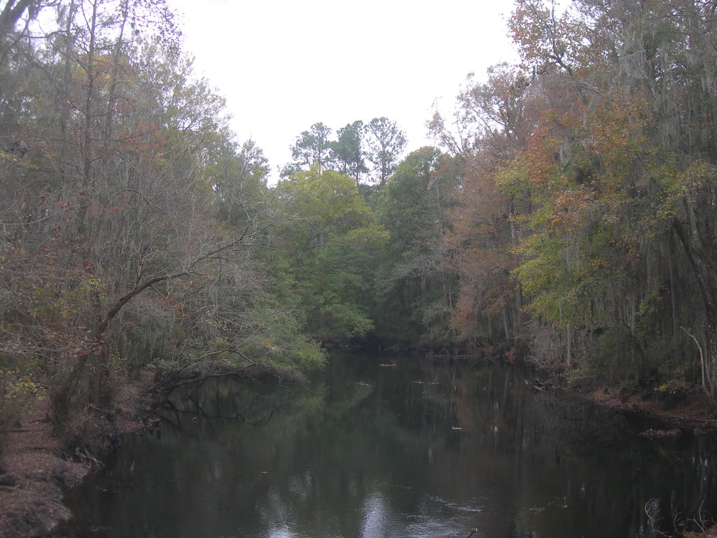 Little Pee Dee River Little Pee Dee State Park near Fork, … Flickr