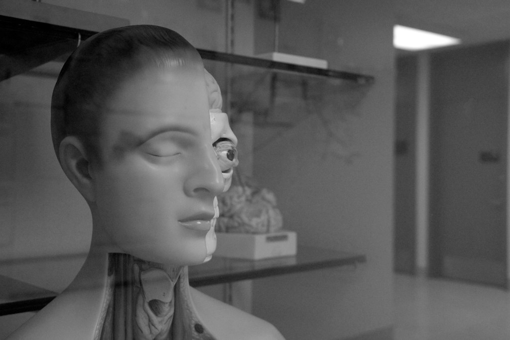 Anatomy Dummy, Office of the Cook County Medical Examiner Flickr
