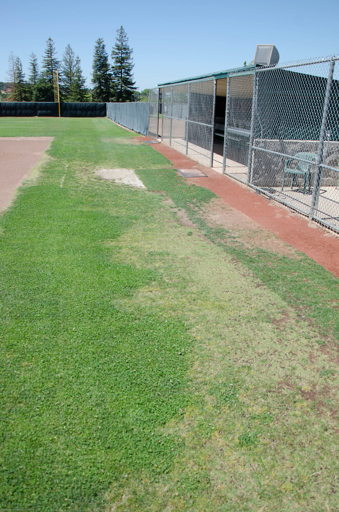 Sierra Fields2.jpg Matt Folsom Flickr