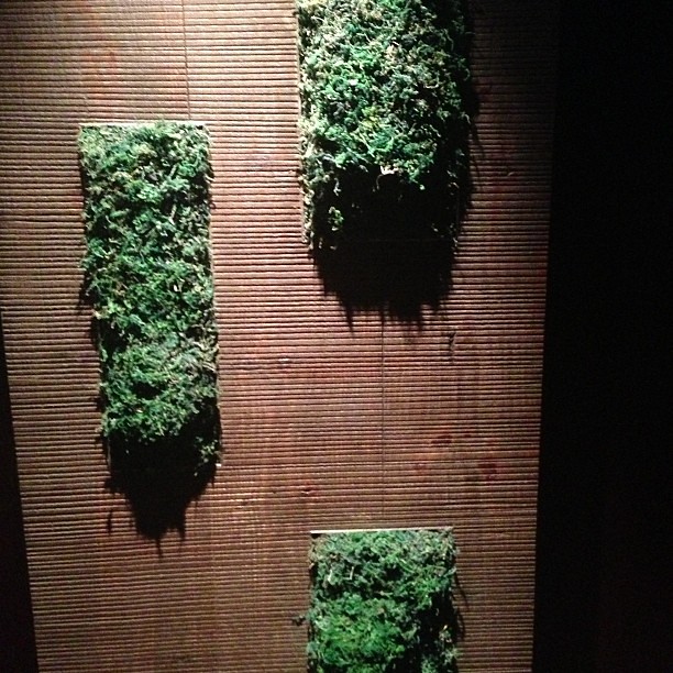 Stroke The Furry Wall! furrywall hongkong ashemhughangus Flickr