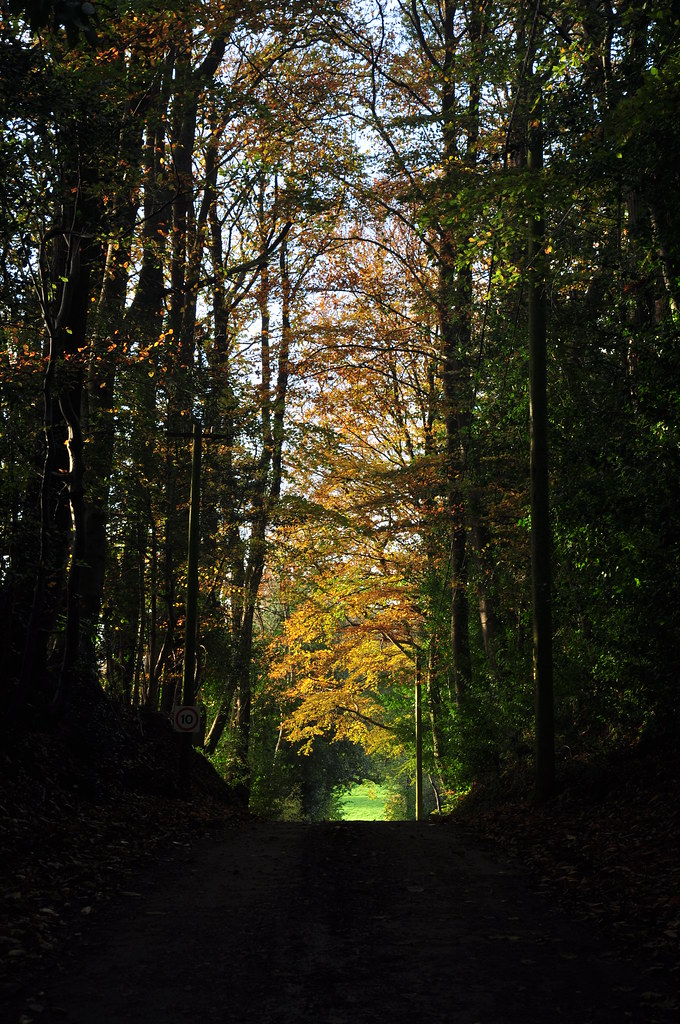 Autumn Side Road Revisited Romsey Fill47 Flickr