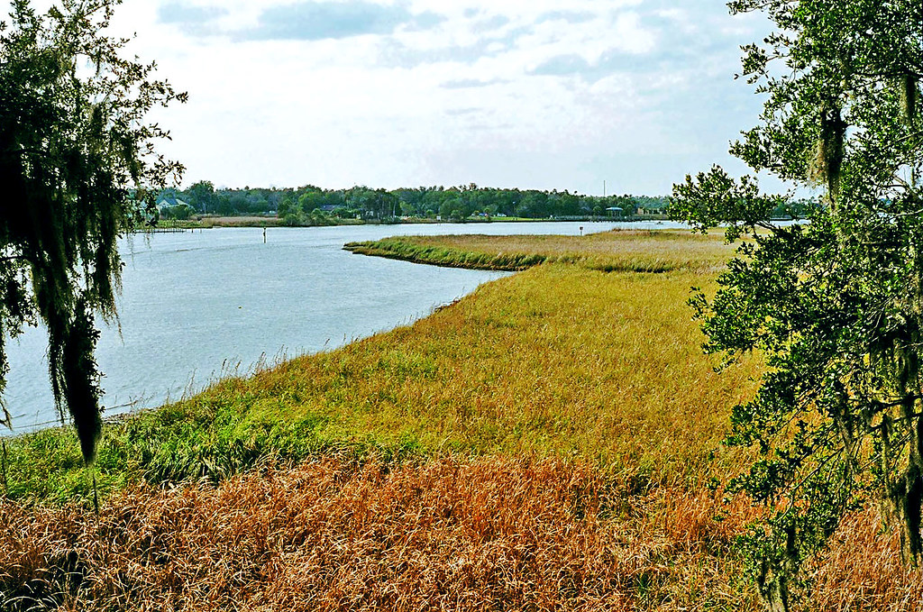 Crystal River from atop Temple Mound, Crystal River Archae… Flickr
