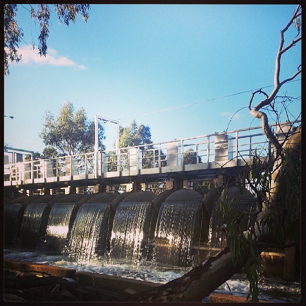 Weir at Weir Park Horsham Flora Haggis Flickr