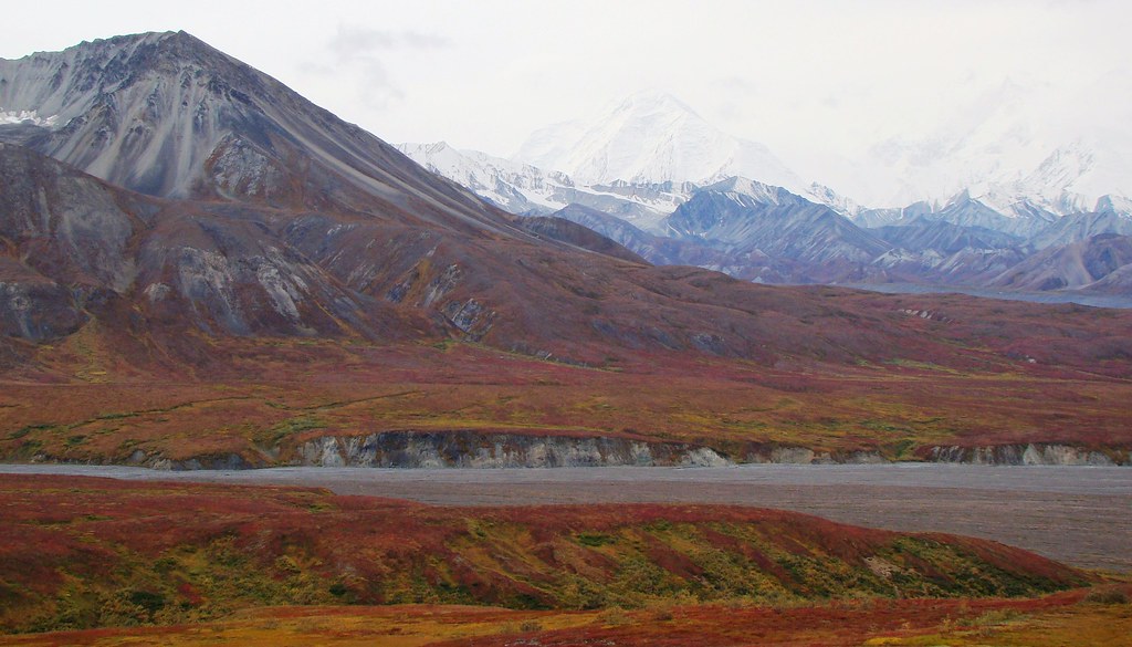 Kantishna wilderness trails tour, Denali National Park, De… Flickr