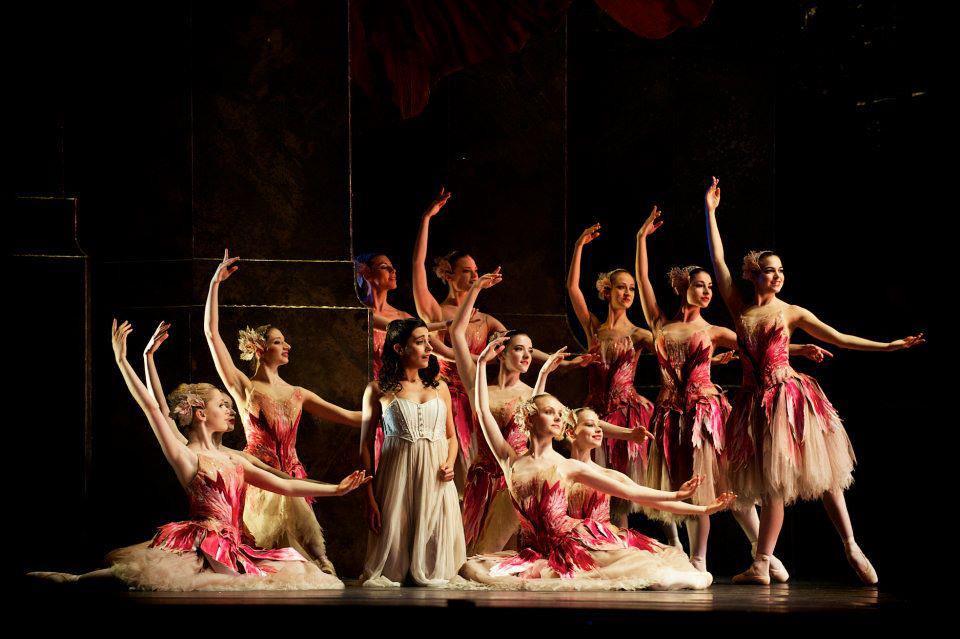 417236_10150661231856488_1614242498_n (c) Graeme Braidwood… Emma Price Flickr