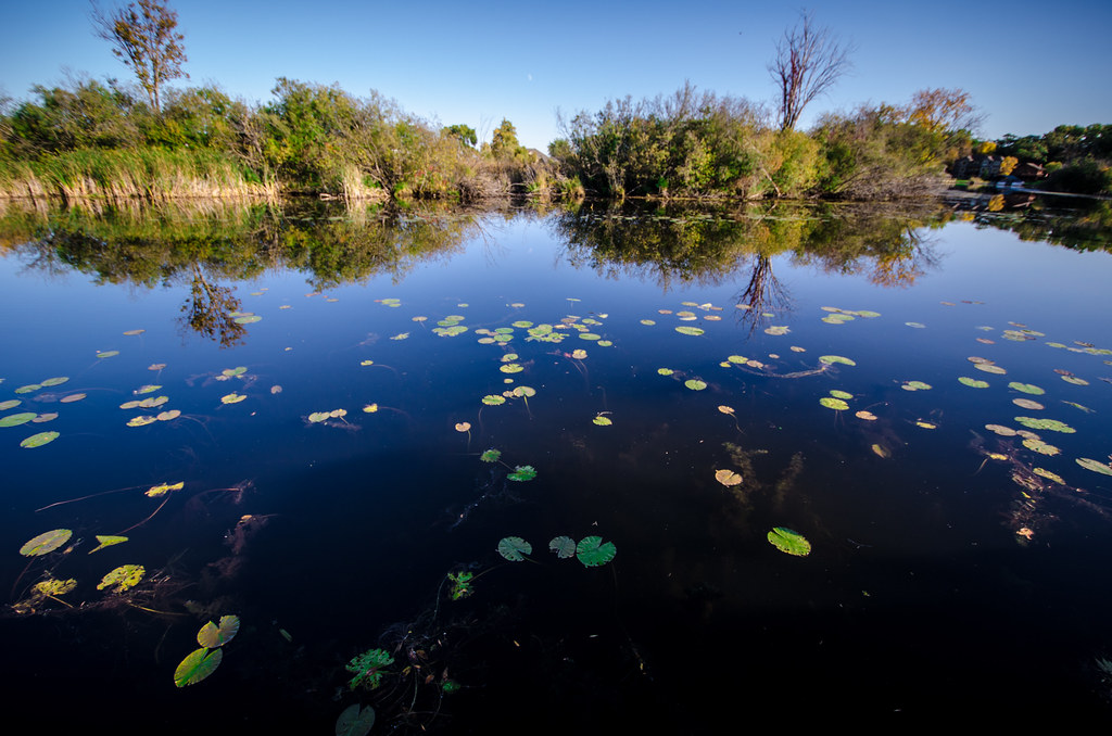 Tonka Bay m01229 Flickr