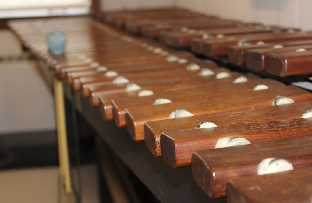 Xylophone at the Sousa Archives and Center for American Mu… Flickr