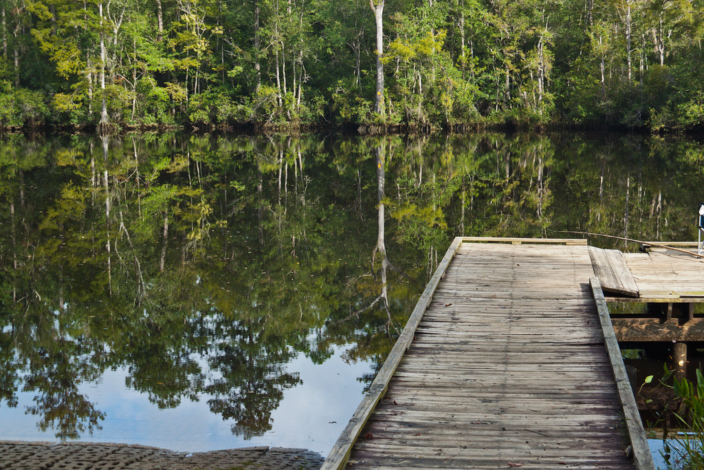 Byrnes Lake / Tensaw River Delta Flickr