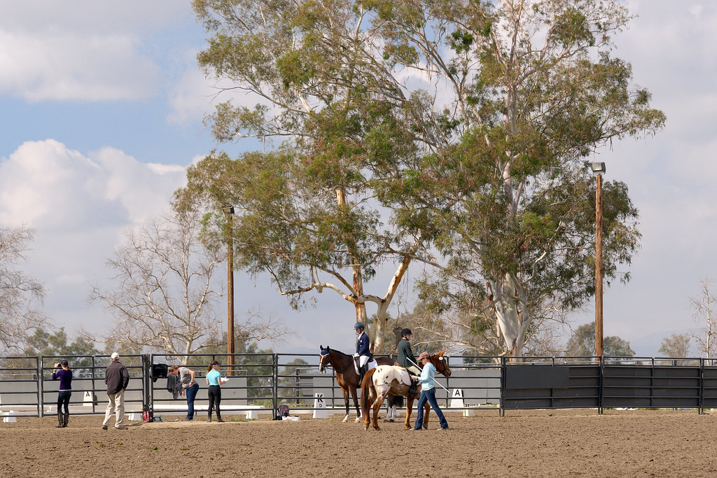 Galway Downs Dressage Winter Horse Trials, Galway Downs, T… Flickr