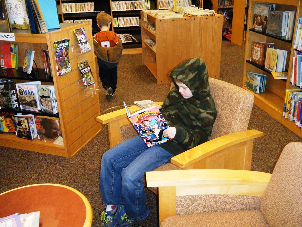 DSCF7188 East Greenbush Library Flickr