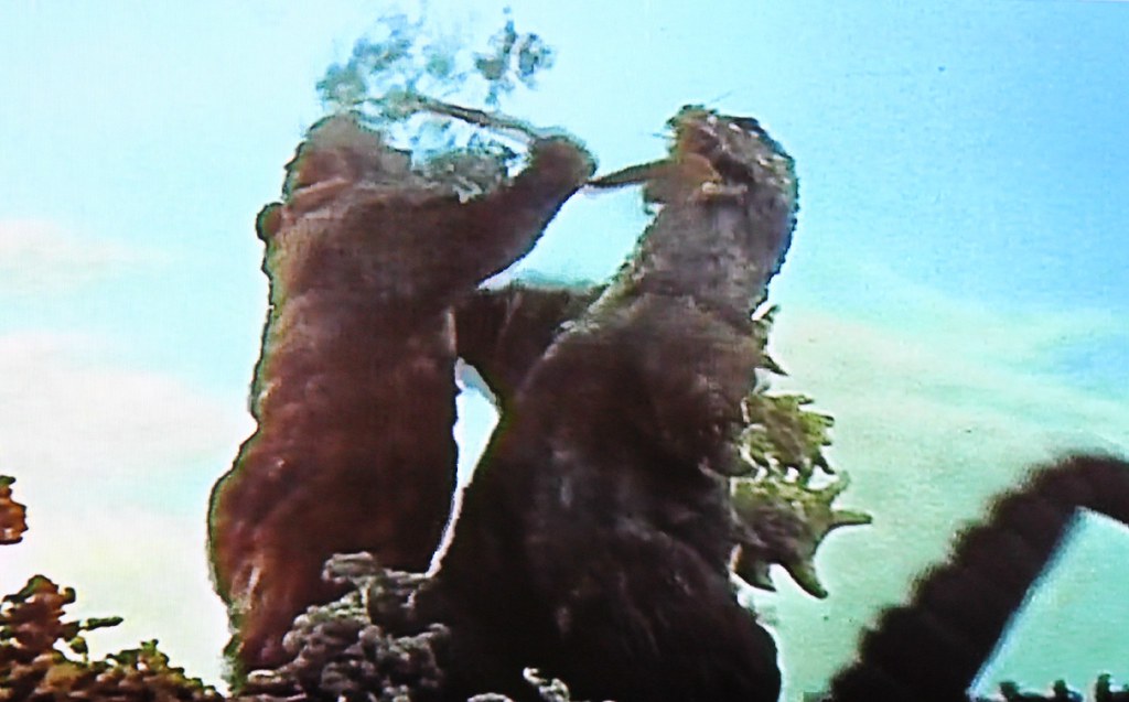 King Kong trying to kill Godzilla with a tree with roots Flickr