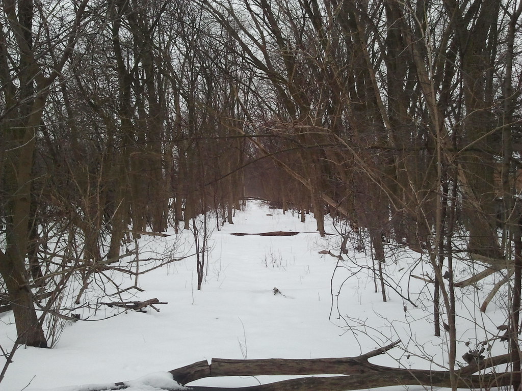 Skokie Valley Line crinklycracks Flickr