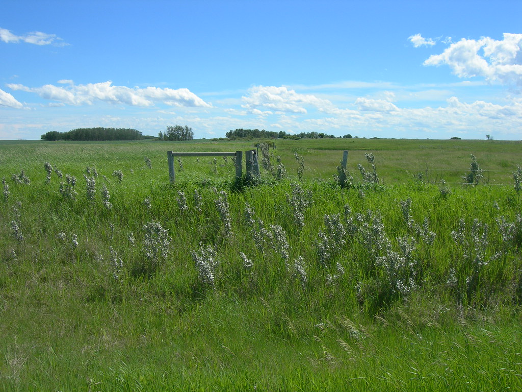 The ManitobaSaskatchewan Border Looking south from the MB… Flickr