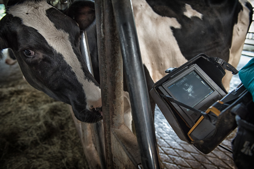 UBC Dairy Education and Research Centre in Agassiz Flickr