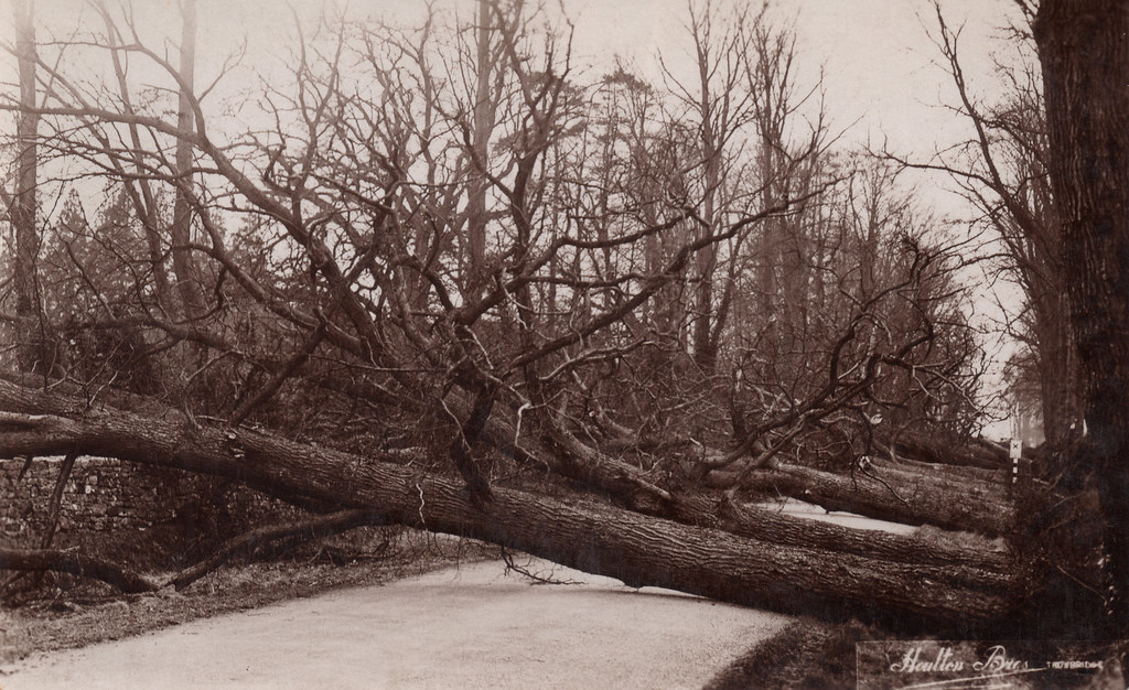 1930 Great Storm, Wingfield Road, Trowbridge 12th January … Flickr